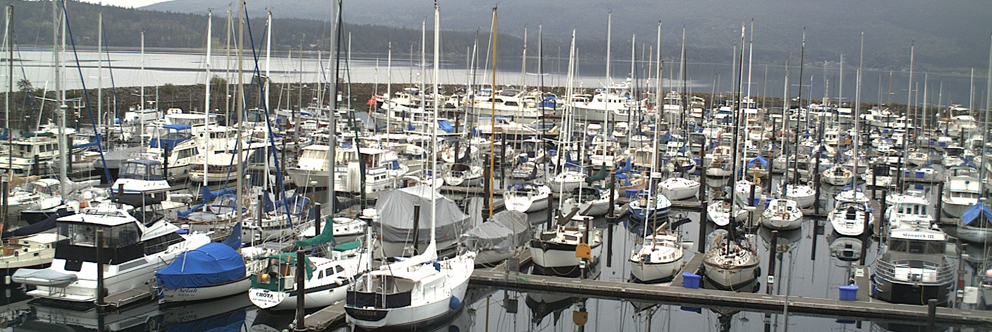 Slideshow Image 5